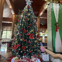 фото из отзыва ID 2747531