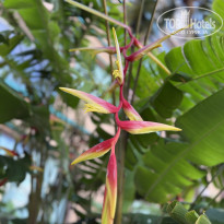 фото из отзыва ID 2747531