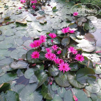 фото из отзыва ID 2747555