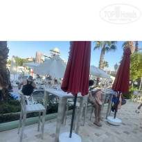 фото из отзыва ID 2747558