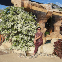 фото из отзыва ID 2747587