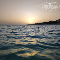 фото из отзыва ID 2747635