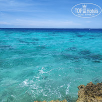 фото из отзыва ID 2747635