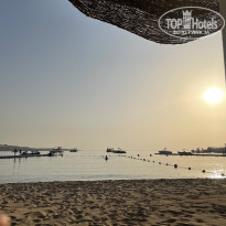 фото из отзыва ID 2747639