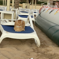 фото из отзыва ID 2747639