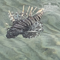 фото из отзыва ID 2747639