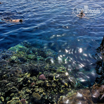 фото из отзыва ID 2747650