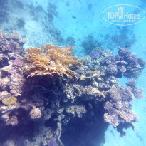 фото из отзыва ID 2747650