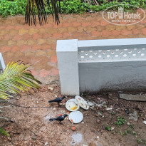 фото из отзыва ID 2747669