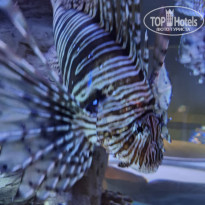 фото из отзыва ID 2747661