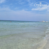 фото из отзыва ID 2747661