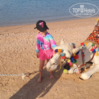 фото из отзыва ID 2747737