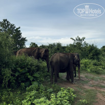 фото из отзыва ID 2747773