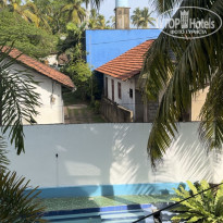 фото из отзыва ID 2747773