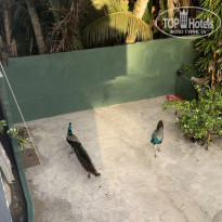 фото из отзыва ID 2747773