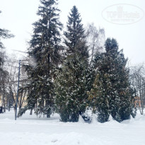 фото из отзыва ID 2747775