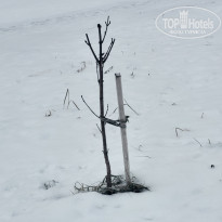 фото из отзыва ID 2747775