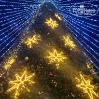 фото из отзыва ID 2747775