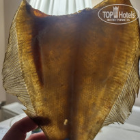 фото из отзыва ID 2747775