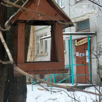 фото из отзыва ID 2747775