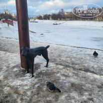 фото из отзыва ID 2747775