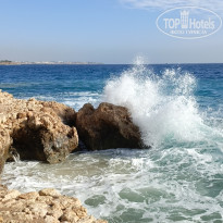 фото из отзыва ID 2747841