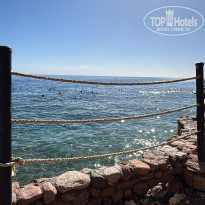 фото из отзыва ID 2747892