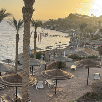 фото из отзыва ID 2747892