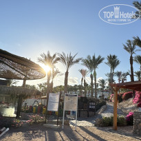 фото из отзыва ID 2747892