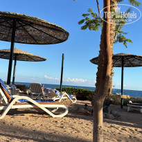 фото из отзыва ID 2747892