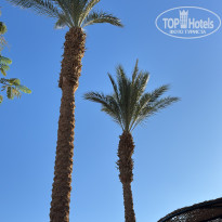 фото из отзыва ID 2747892