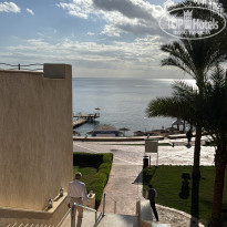 фото из отзыва ID 2747892