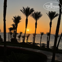 фото из отзыва ID 2747892