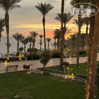 фото из отзыва ID 2747892