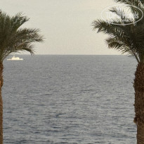 фото из отзыва ID 2747892