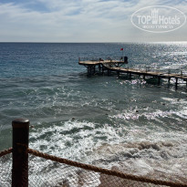 фото из отзыва ID 2747892