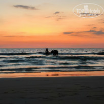 фото из отзыва ID 2747907