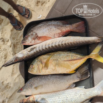 фото из отзыва ID 2747907