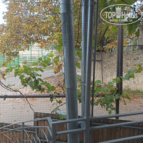 фото из отзыва ID 2747938