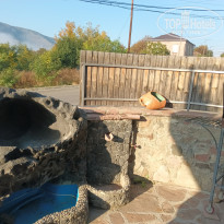 фото из отзыва ID 2747938