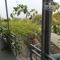 фото из отзыва ID 2747938