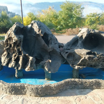 фото из отзыва ID 2747938