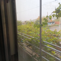 фото из отзыва ID 2747938