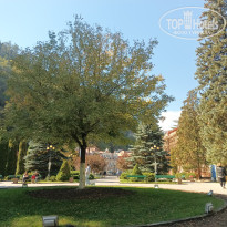 фото из отзыва ID 2747938