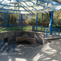 фото из отзыва ID 2747938