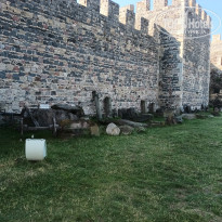 фото из отзыва ID 2747938