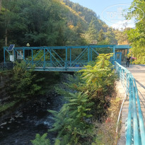 фото из отзыва ID 2747938