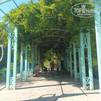 фото из отзыва ID 2747938