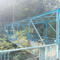 фото из отзыва ID 2747938