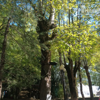 фото из отзыва ID 2747938